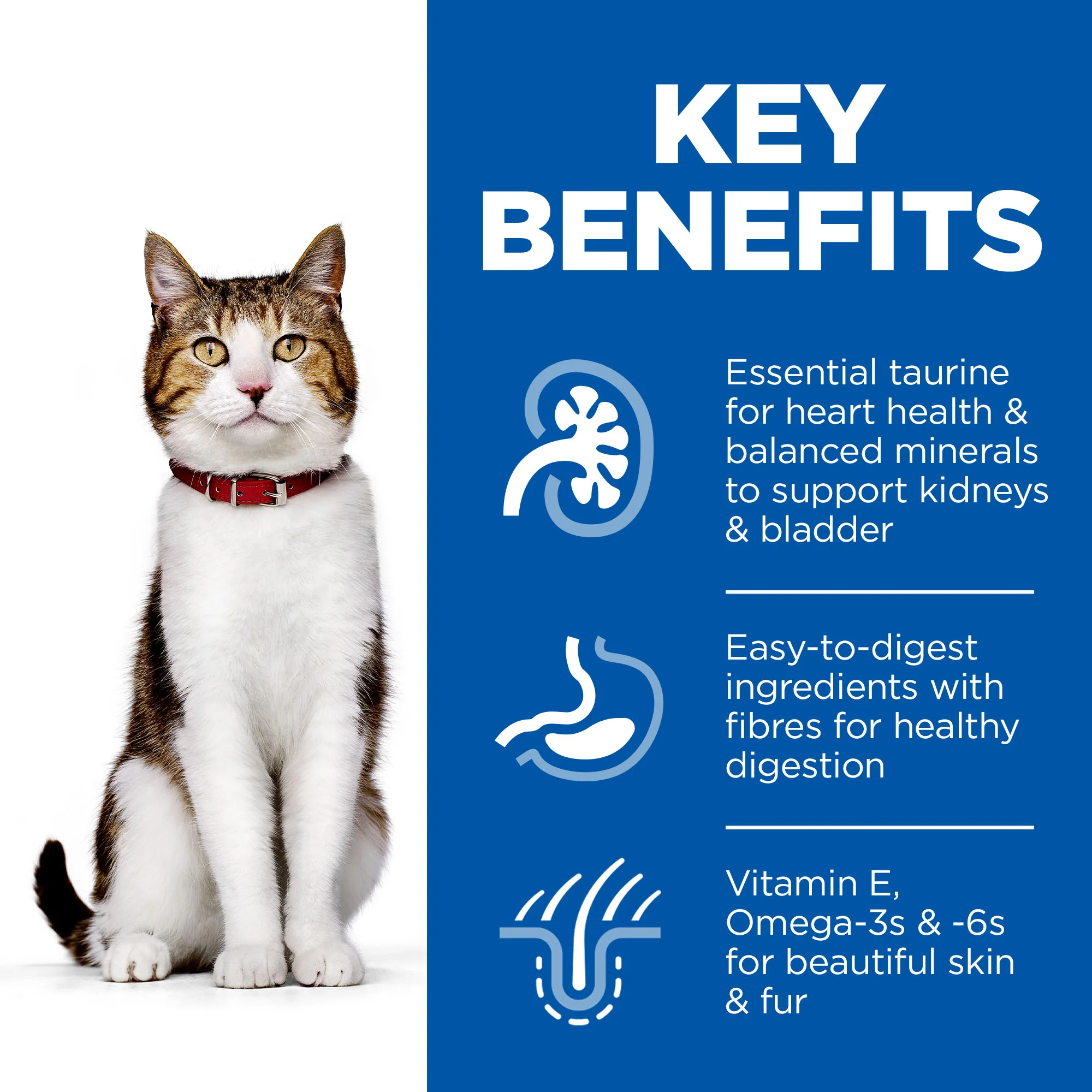 Hill's Science Plan Mature Adult 7+ Wet Cat Food Pouches - Favourite Selection - Image 6
