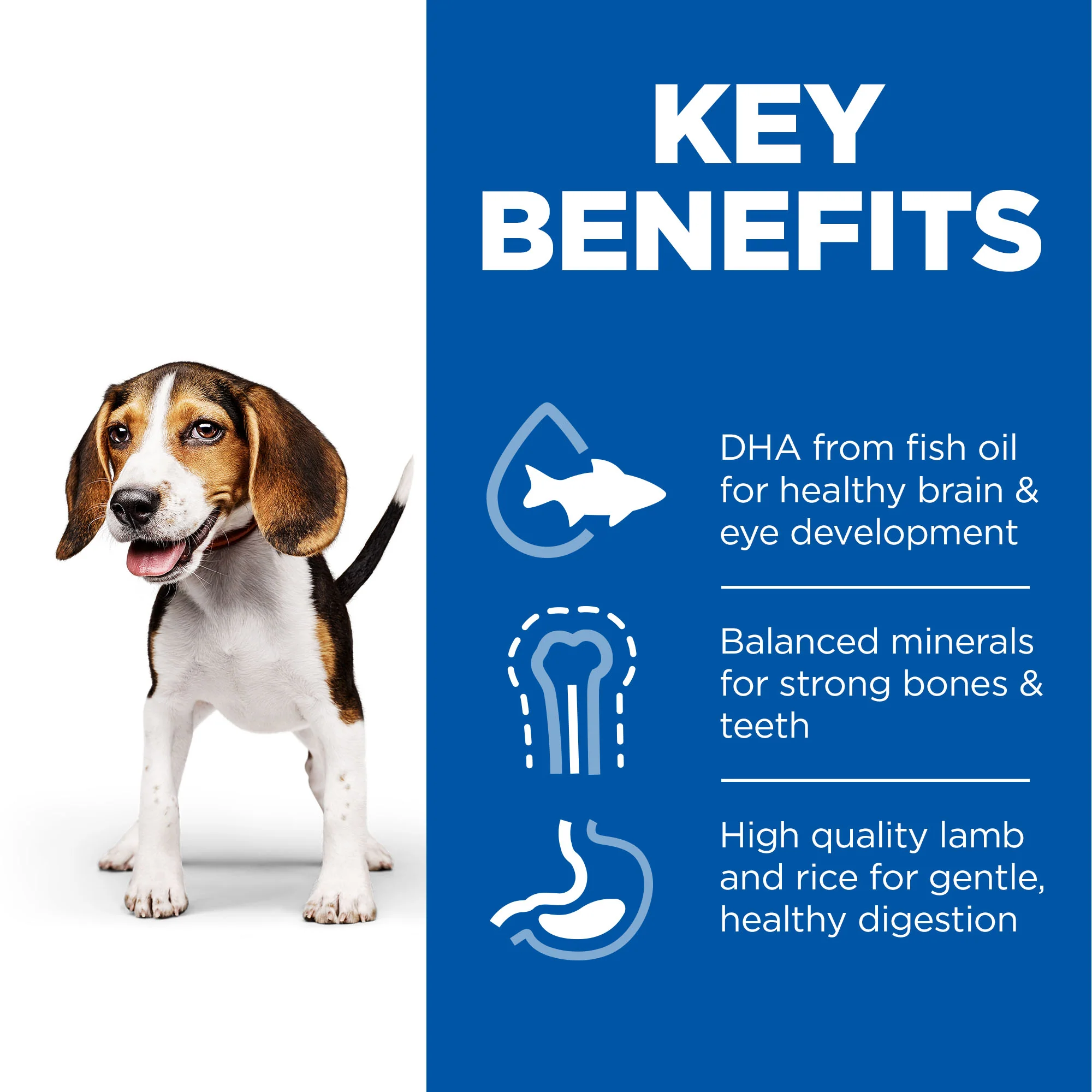 Hill's Science Plan Medium Puppy <1 Dry Dog Food - Chicken - Image 4