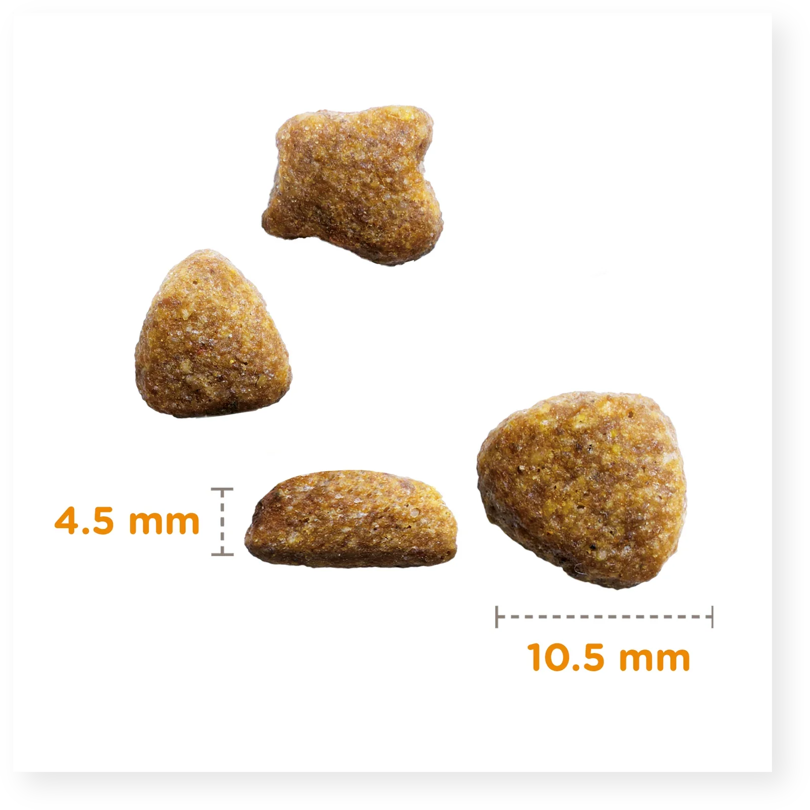 IAMS Cat Adult Ocean Fish - Image 3