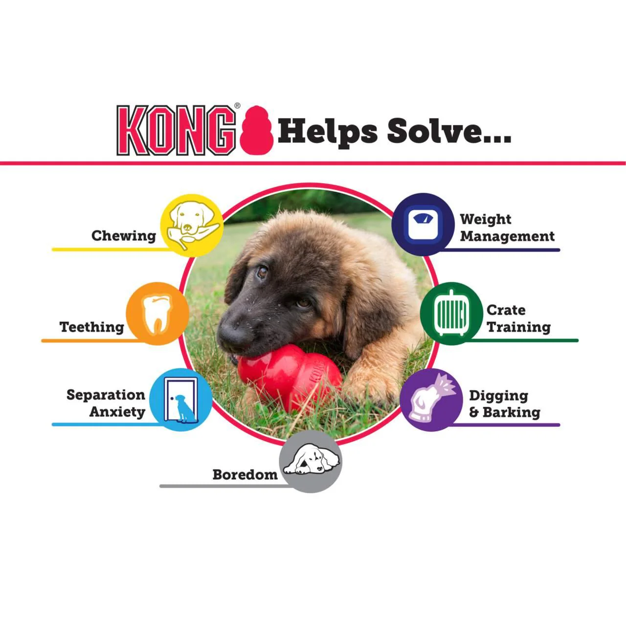 KONG Puppy Assorted Chew Dog Toy - Image 3